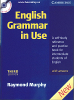 English grammar in Use.pdf